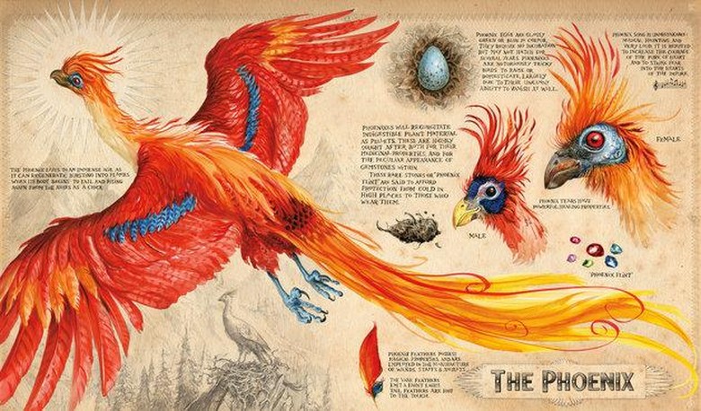 Ilustrator Jim Kay Blak-blakan tentang Inspirasi Gambar Harry Potter Foto: Dok.Bloomsbury and Scholastic Ilustrator Jim Kay Blak-blakan tentang Inspirasi Gambar Harry Potter Foto: Dok.Bloomsbury and Scholastic