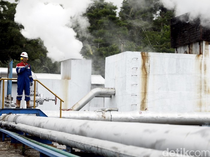 Pertamina-PLN Mau Geber Pengembangan Panas Bumi Pertamina-PLN Mau Geber Pengembangan Panas Bumi