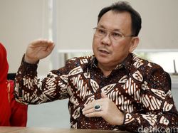 Garuda Caplok Operasional Sriwijaya, Kepemilikan Saham Tak Berubah