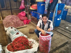 Harga Pangan Penyumbang Terbesar Inflasi Juni