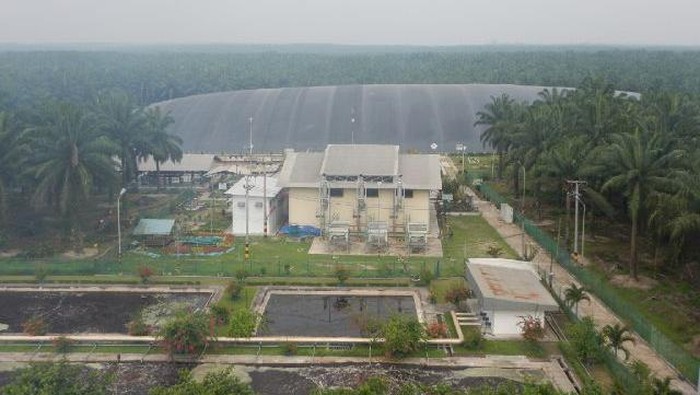 PLN dan Perusahaan Sawit Kerja Sama Salurkan Listrik dari Pembangkit Biogas