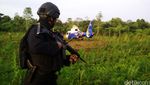 Penampakan Ladang Ganja yang Dimusnahkan Kapolri