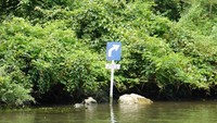Rambu di Sungai Pute kebanyakan berwarna biru dan putih, dengan tulisan seperti tikungan tajam, tikungan ke kanan dan lain sebagainya. Semua ditancapkan di tepian sungai, di antara deretan pohon nipah (Kurnia/detikTravel)