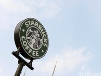 Petinggi Starbucks Mundur di Tengah Rencana Tutup Gerai-PHK Massal
