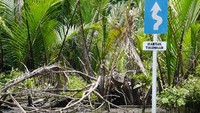 Jalur sungai ini memang cukup banyak tikungan. Rambu-rambu yang ada pun berguna untuk mengingatkan nelayan yang membawa perahu agar lebih hati-hati (Kurnia/detikTravel)