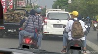 Selain mengendarai motor dengan zigzag, mereka juga membuat pengendara lain harus ekstra waspada, karena sering bercanda melemparkan topi teman yang lain ke jalanan. Alhasil ada pelajar yang harus berhenti di jalan memungut topi. Hati-hati ya dek. (Foto: Ridwan Pembaca/diambil oleh penumpang).