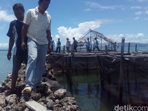 Menengok Budidaya Ikan di Tengah Teluk Lasolo Kendari