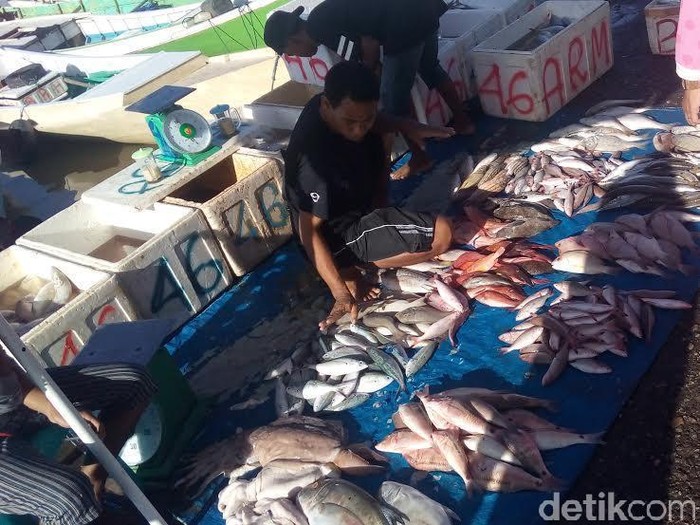 Ikan patin dari vietnam ditemukan mengandung tripolyphosphate berlebih. (Foto ilustrasi: Wisnu Prasetiyo/detikcom) Ikan patin dari vietnam ditemukan mengandung tripolyphosphate berlebih. (Foto ilustrasi: Wisnu Prasetiyo/detikcom)