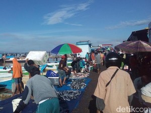 Ramainya Suasana Pagi di Pusat Pelelangan Ikan Kendari