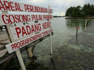 Dulu Perusak, Kini Pelestari Terumbu Karang di Pulau Pramuka