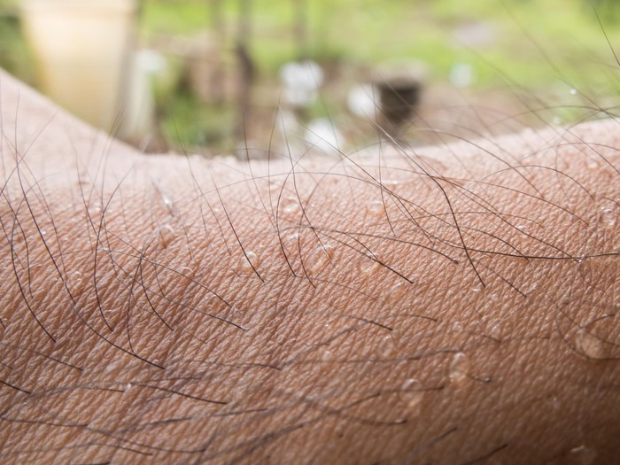 Para Ilmuwan Temukan Organ Penting Baru di Tubuh Manusia