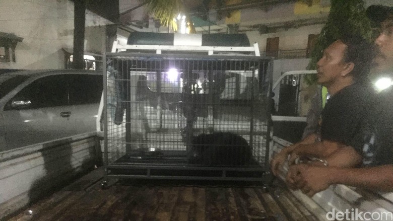 Kisah Anjing yang Dituduh Ngepet di Bekasi Kisah Anjing yang Dituduh Ngepet di Bekasi