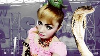 Pedangdut Irma Bule tewas dipatuk ular kobra saat sedang manggung. Usai bernyanyi dia tak sengaja menginjak ular yang menemaninya selama bernyanyi di atas panggung. Foto: Ilustrasi oleh Zaki Alfarabi