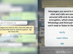 WhatsApp Cs Mau Dibikin Lebih Aman Kok Dihambat?