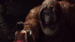 Petualangan Mowgli dengan Hewan Buas di The Jungle Book
