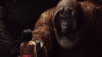 Selain itu masih ada macan bernama Shere Khan (Idris Elba) sang penguasa hutan dan orang utan raksasa bernama King Louie (Christopher Walken) menjadi ancaman dalam perjalanan Mowgli. (Dok. Disney Enterprise)