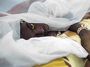 Masih Merajalela di Angola, Demam Kuning Tewaskan 225 Orang