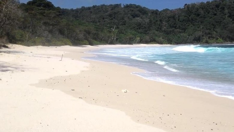 Foto: Pantai Sendiki yang anti mainstream di Malang (@Islah Agus/Youtube) Foto: Pantai Sendiki yang anti mainstream di Malang (@Islah Agus/Youtube)