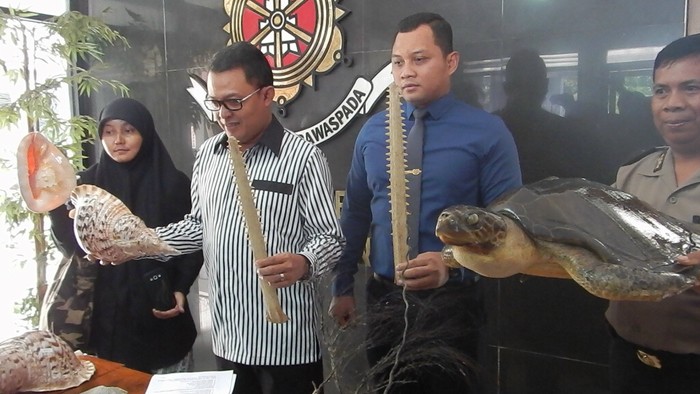 Polisi Bongkar Penjualan Satwa Langka yang Diawetkan untuk Kosmetik