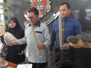 Polisi Bongkar Penjualan Satwa Langka yang Diawetkan untuk Kosmetik