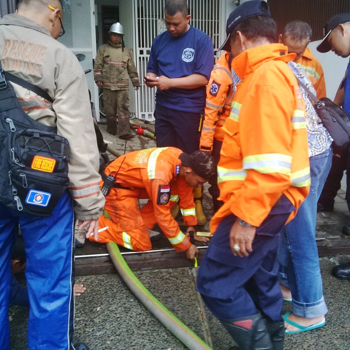 Kisah Petugas Pemadam Kebakaran Dipanggil Warga untuk Selamatkan Anak Kucing