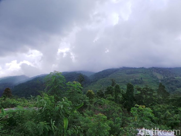 taman jeka
