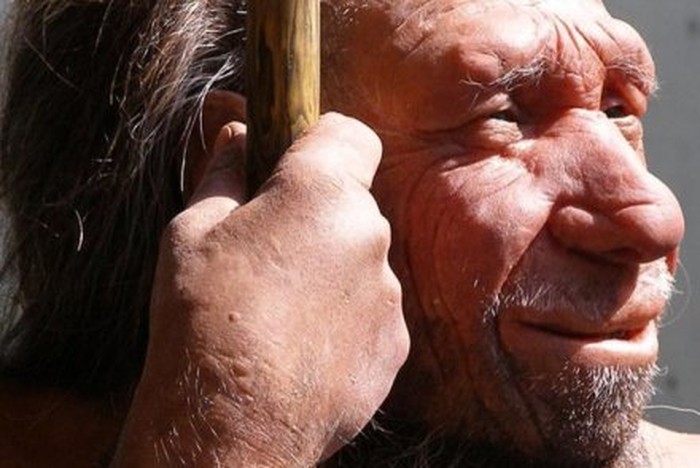 Kromosom Y Manusia Neanderthal Menghilang dari DNA Pria Modern