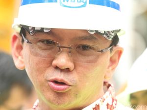 Komisi IV DPR dan KKP Sepakat Hentikan Reklamasi, Ahok: Saya Enggak akan Geser