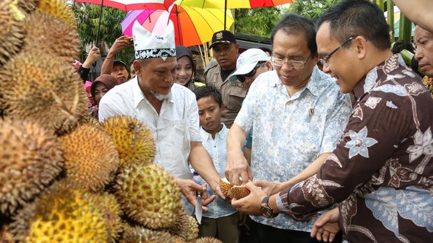 Gambar Durian Merah Magnet Agro Wisata Banyuwangi Durian Merah Magnet Agro Wisata Banyuwangi