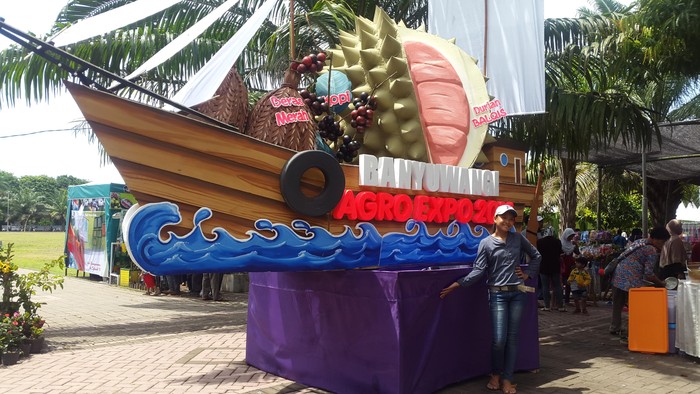 Durian Merah, Magnet Agro Wisata Banyuwangi