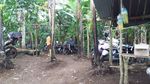 Pesona Air Terjun Titian Batu Kawangan di Lombok Tengah