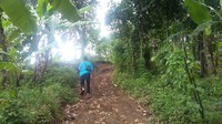 Butuh waktu 25 menit jalan kaki dari parkiran motor ke Air Terjun Titian Batu Kawangan. Air terjun ini juga sering disebut dengan Air Terjun Tete Batu (Yudhistira/detikTravel)
