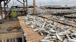Perajin Ikan Asin Muara Angke