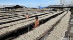 Perajin Ikan Asin Muara Angke
