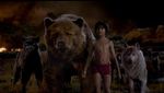 Petualangan Mowgli dengan Hewan Buas di The Jungle Book