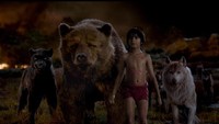 Petualangan Mowgli (Neel Sethi) bersama para sahabatnya yaitu serigala betina bernama Raksha (Lupita Nyongo), macan kumbang hitam bernama Bagheera (Ben Kingsley), dan Baloo si beruang madu (Bill Murray). (Dok. Disney Enterprise)