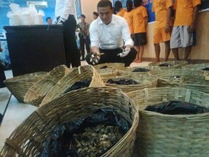 Rusak dan Jual Terumbu Karang karena Dirusak Dua Orang ini