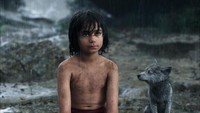 Mowgli, anak manusia yang dibesarkan oleh kawanan serigala. (Dok. Disney Enterprise)
