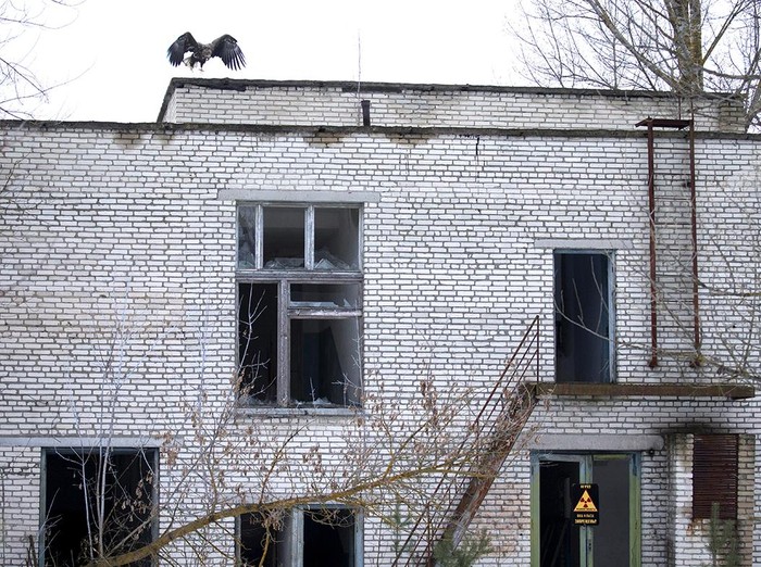 Potret Reaktor Chernobyl di Ukraina yang ditinggalkan