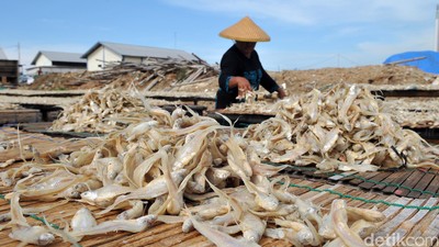 Perajin Ikan Asin Muara Angke
