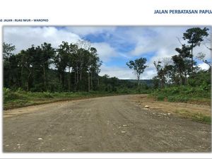 Jalan Perbatasan Papua 1.098 Km, Bisakah Rampung di 2019?