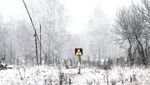 Dramatis, Bekas Reaktor Chernobyl di Ukraina Jadi Kerajaan Binatang