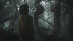 Petualangan Mowgli dengan Hewan Buas di The Jungle Book