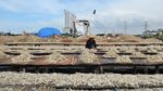 Perajin Ikan Asin Muara Angke