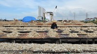 Sejumlah pekerja mengeringkan ikan asin di Kawasan Muara Angke Jakarta.