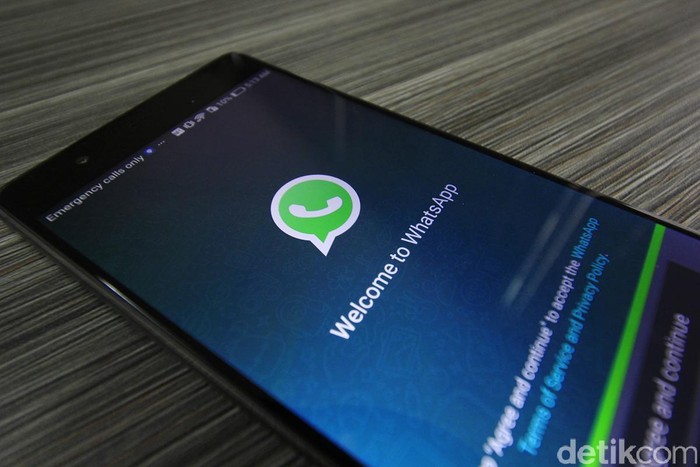 Ilustrasi WhatsApp. Foto: detikINET/Irna Prihandini Ilustrasi WhatsApp. Foto: detikINET/Irna Prihandini