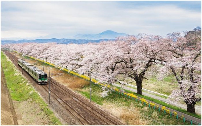 Jepang yang Tidak Hanya Cantik Saat Musim Sakura