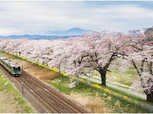 Jepang yang Tidak Hanya Cantik Saat Musim Sakura