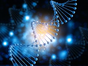 Berapa Biaya Tes DNA? Ini Kisaran Harga, Prosedur, dan Manfaatnya