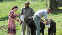 Kate dan William memberi susu pada anak gajah. Arthur Edwards - Pool/Getty Images/detikFoto.